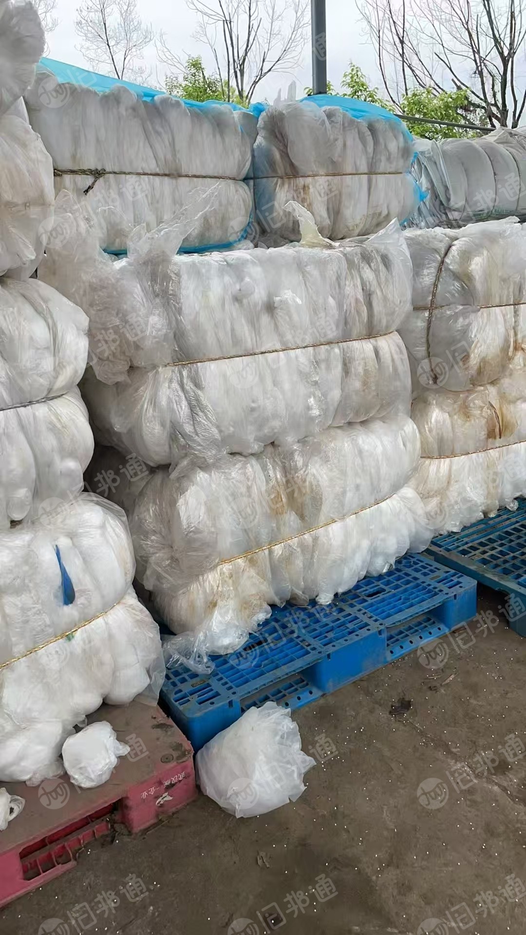 长期出售干造低压膜废料