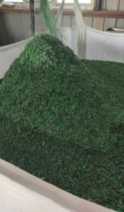 长期出售PET打包带破碎料，干粉