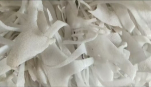 长期出售珍珠棉废料