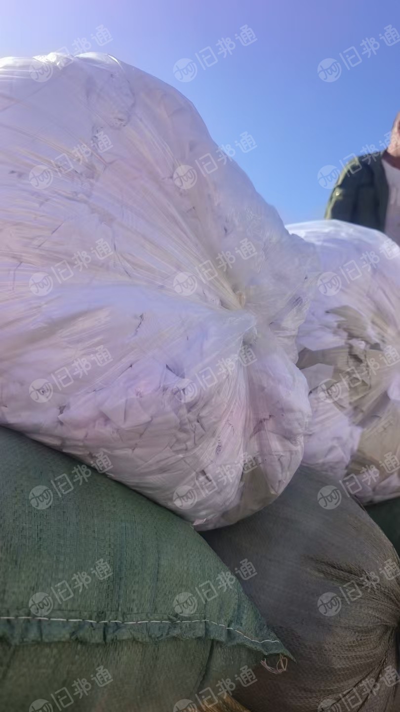 长期大量出售泳装废布，泳装布，锦氨废布，涤氨废布，货在辽宁葫芦岛