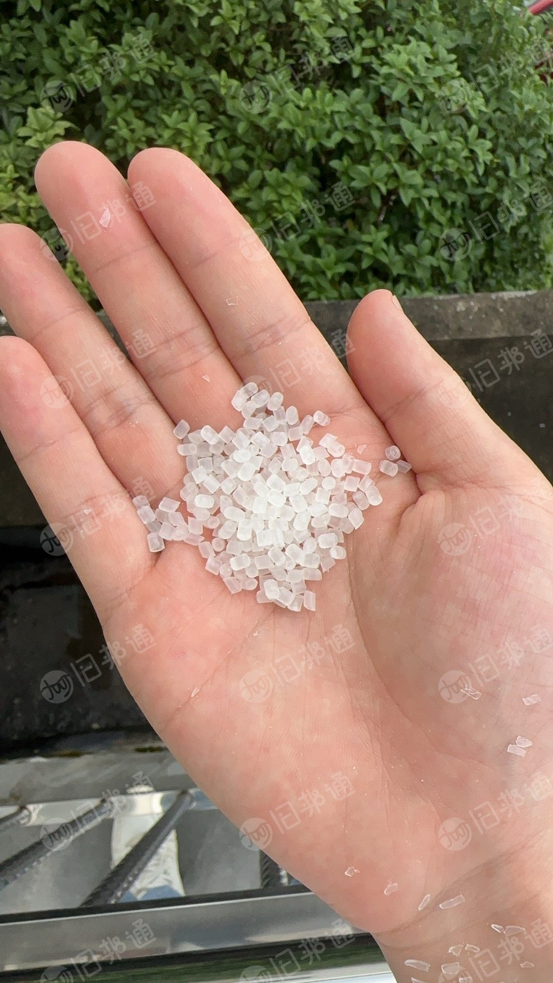 出售纯饭盒颗粒 热洗色选过200目