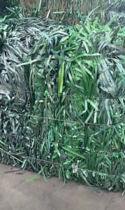 长期出售PET打包带毛料