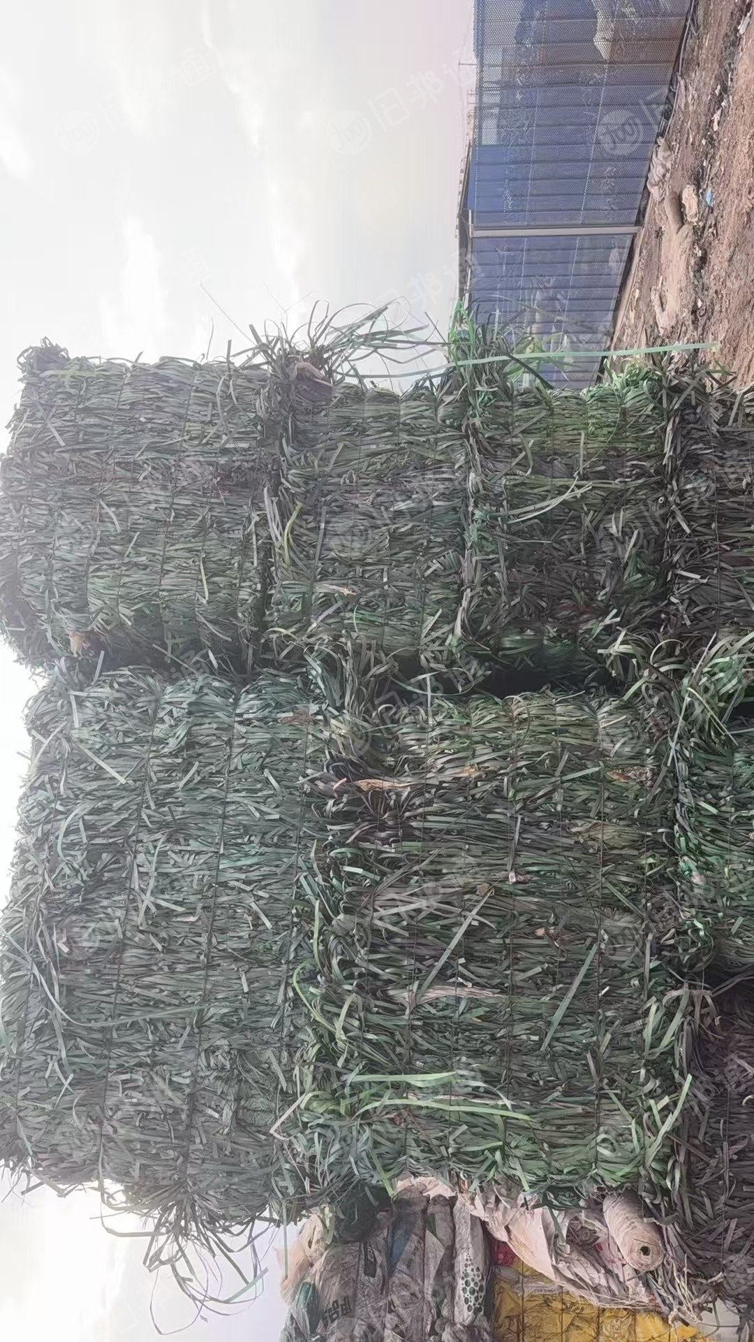 大量出售PET打包带废料