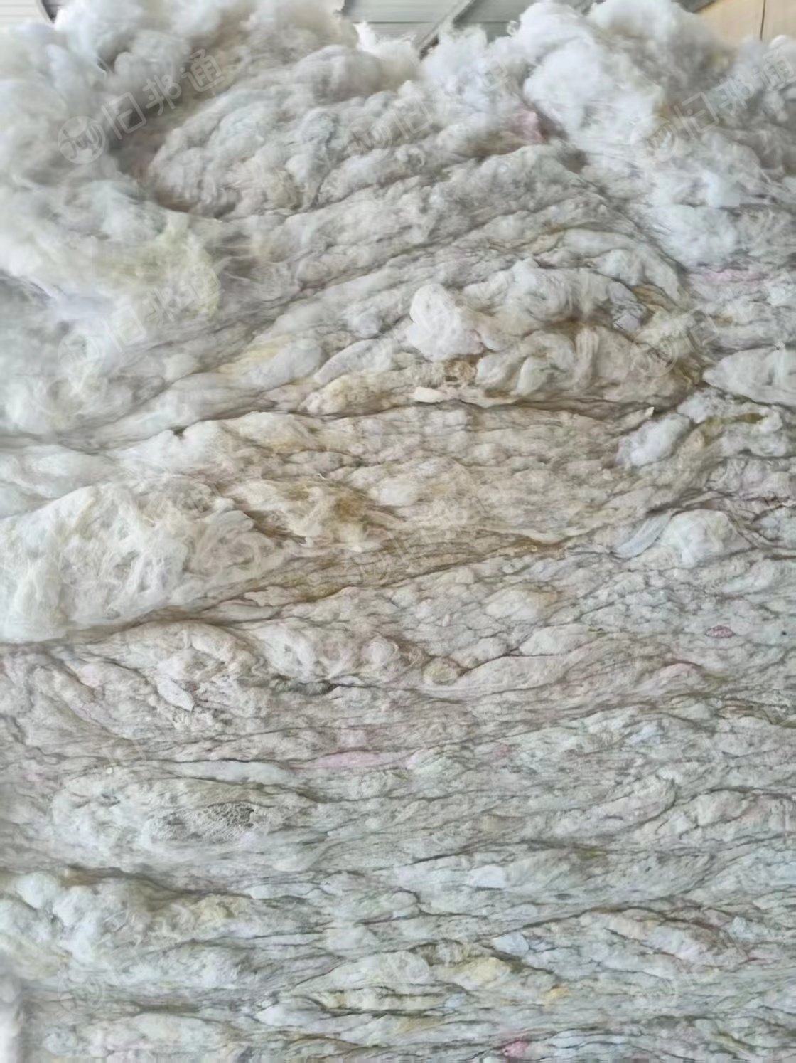 出售开花好的化纤棉，可做针刺棉，土工布，大棚毡用