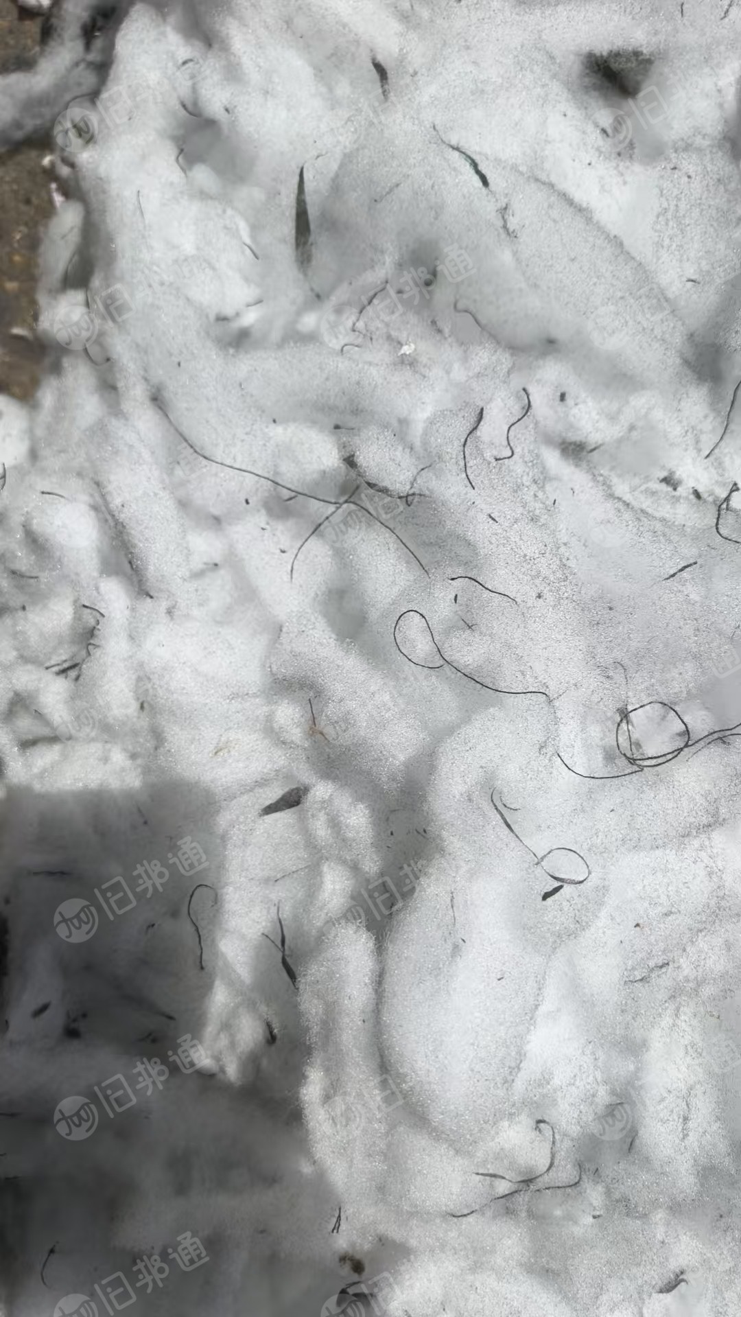 长期出售监狱下来的线头棉，线头棉下脚料，现货百来吨
