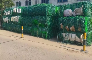 长期出售PET打包带废料，PET打包带毛料