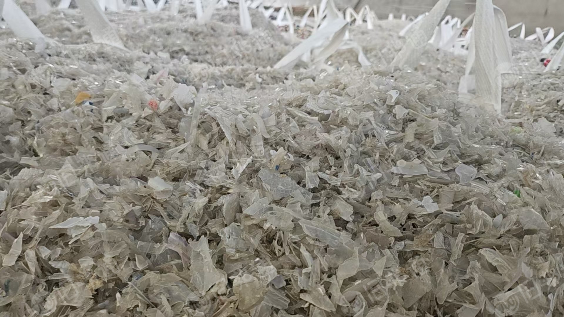 出售水粉PP餐盒破碎料，清洗甩干，无沉底，现货20吨