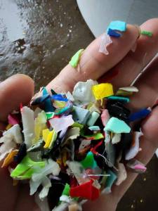 出售花丙破碎料，清洗甩干，过一道水池，现货两挂