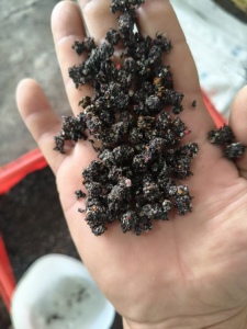 长期出售EVA毛毛虫,月供200吨