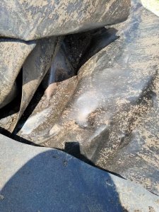 长期出售牛场氧化塘里埔的防渗水的pe膜，现货够车