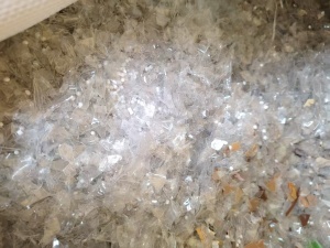出售杂色pet吸塑盒破碎料,里面带点油漆,含少量pvc,现货12吨