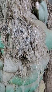 出售电子厂电子条复合膜