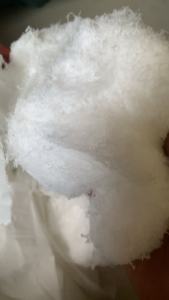 长期出售尼龙废丝，尼龙废布，尼龙水丝，含水分，月供几十吨