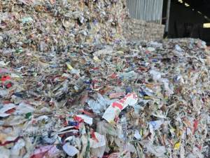 出售纸厂废塑料