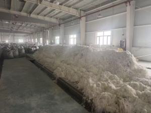 长期出售喷水织机下来的涤纶废丝,涤纶水丝,有晒干了,月供百来吨
