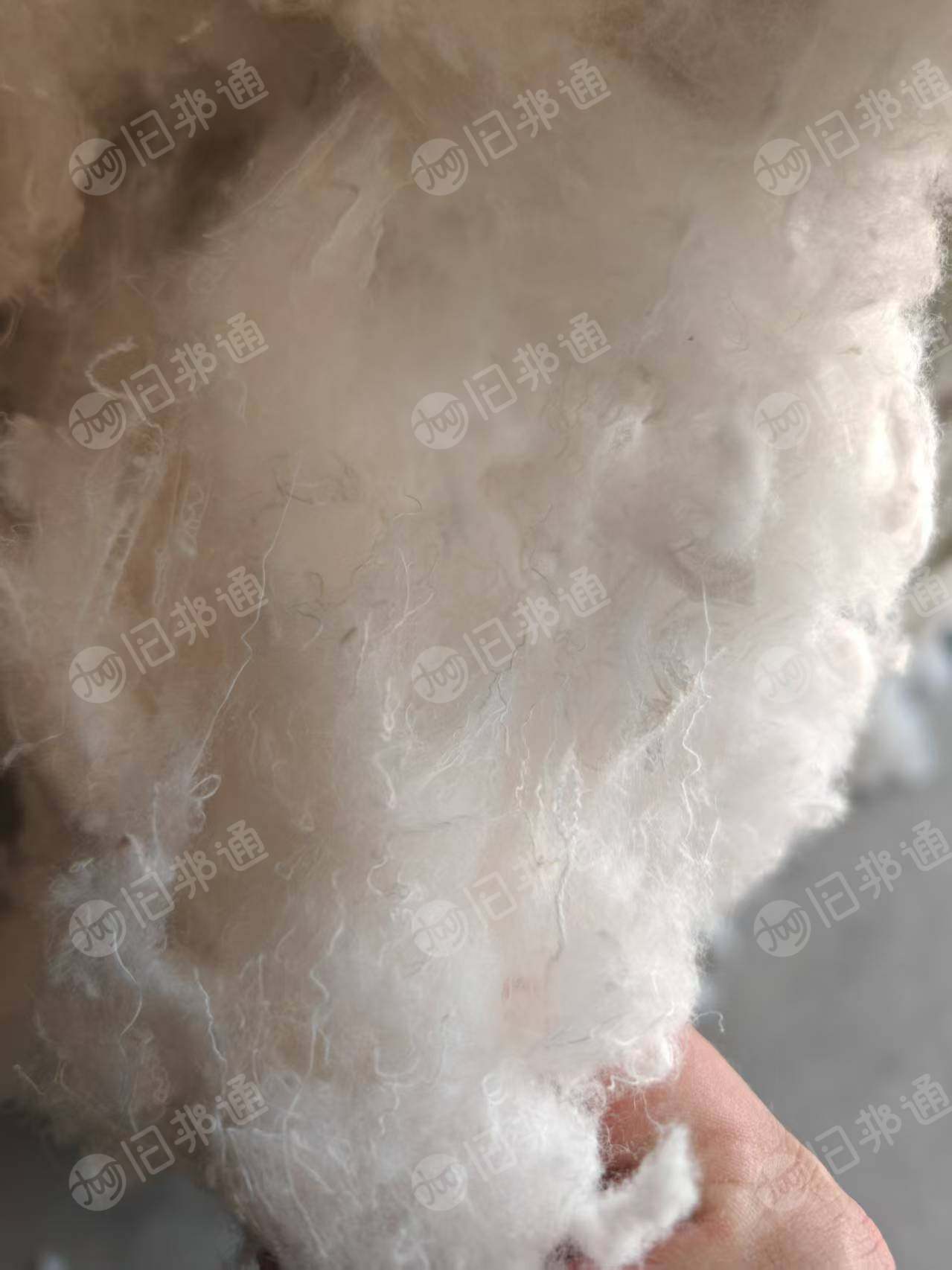 长期出售开松好的化纤棉，床垫下脚料开的开松棉，货在河北保定
