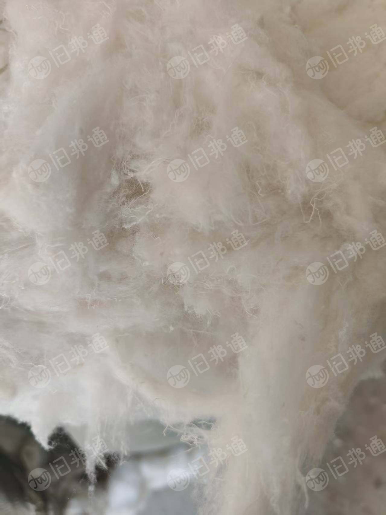 长期出售开松好的化纤棉，床垫下脚料开的开松棉，货在河北保定