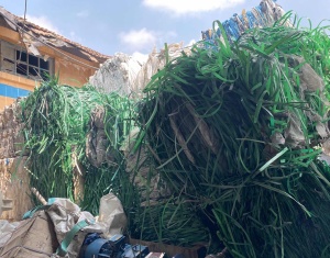 出售PET打包带毛料，现货12吨