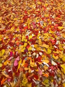 长期大量求购餐盒破碎料，白丙破碎料，花丙破碎料，红蓝丙破碎料，涂料桶破碎料，造粒用