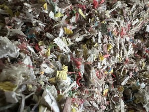 长期出售聚丙打包带粉碎料