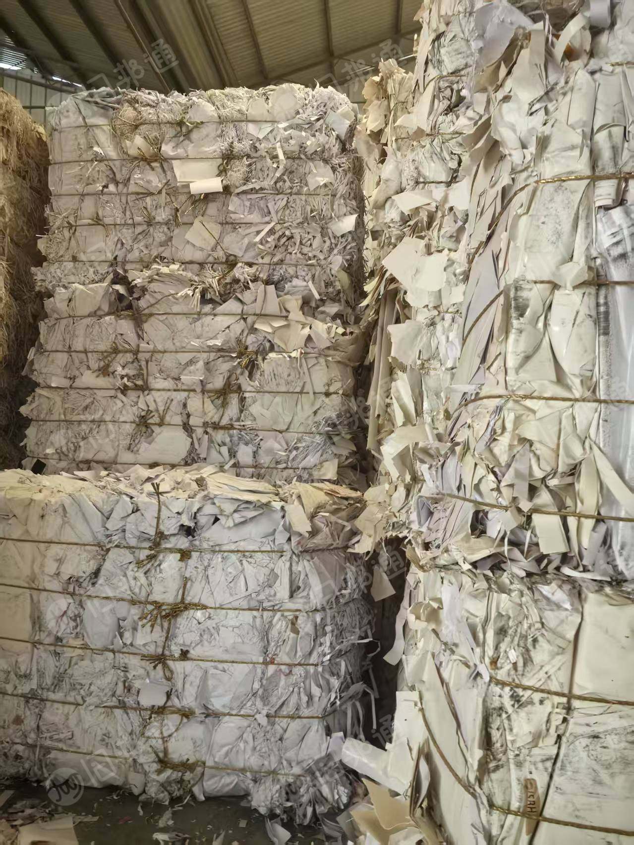 长期出售无膜白卡纸边料