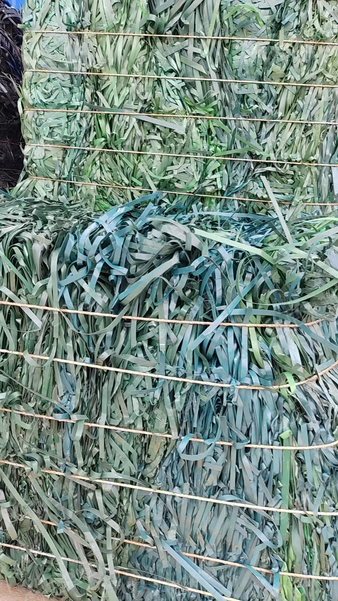 出售PET打包带毛料，现货十几吨
