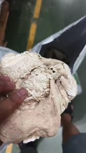 出售无卤加纤尼龙机头料，加纤10-20%，现货60吨