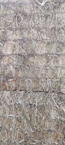 出售全漂乳白pp打包带毛料