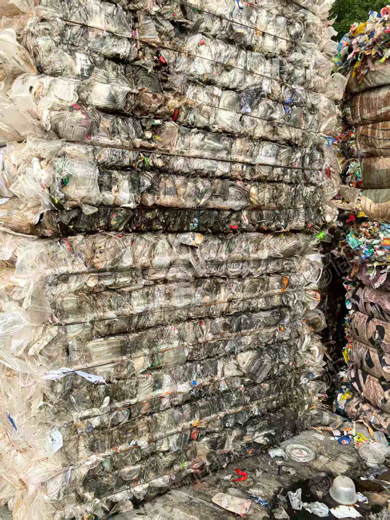 长期出售饭盒压块，透明占比八成