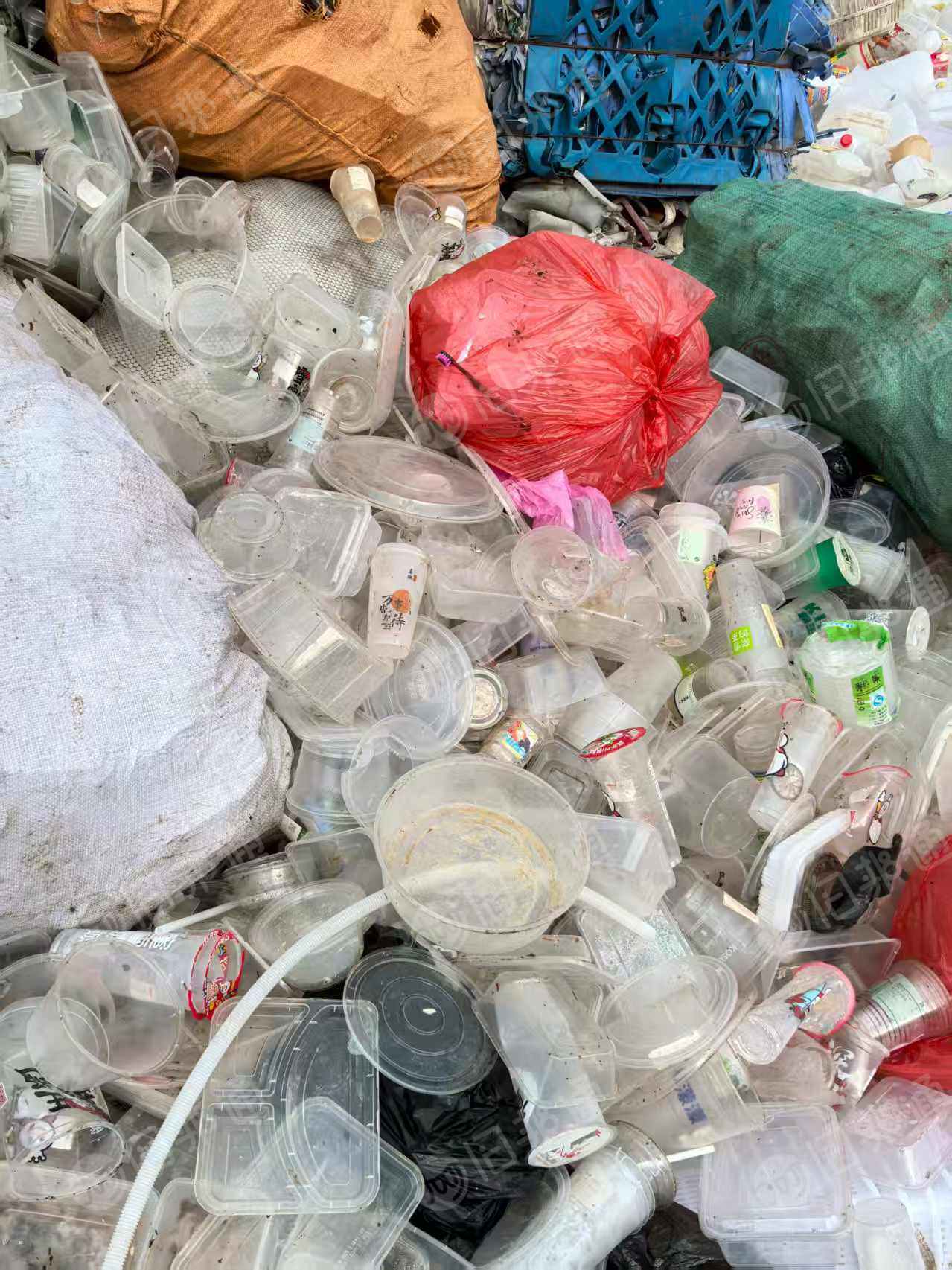 长期出售饭盒压块，透明占比八成