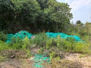 出售绿色PET建筑工地安全网废料