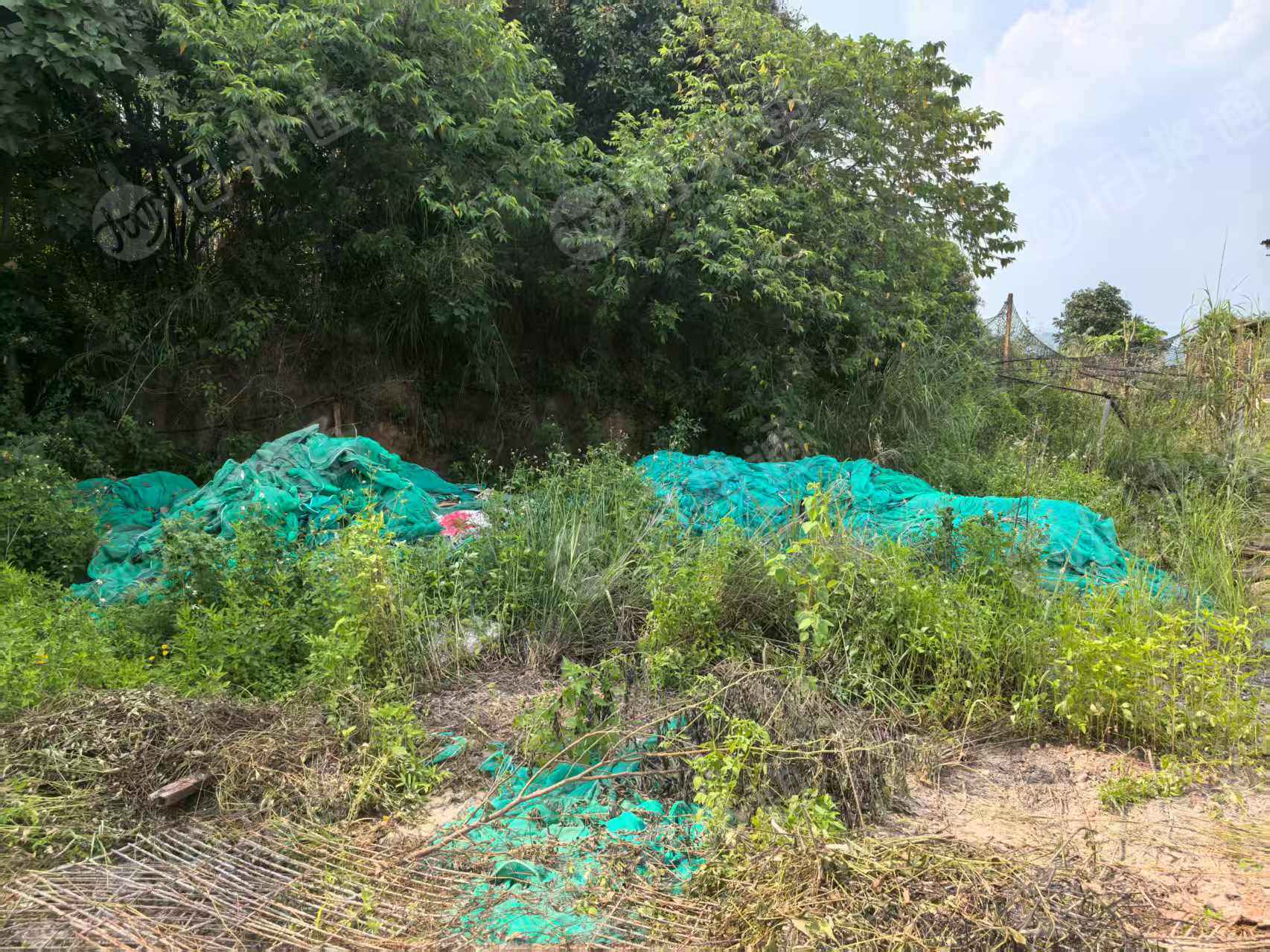 出售绿色PET建筑工地安全网废料