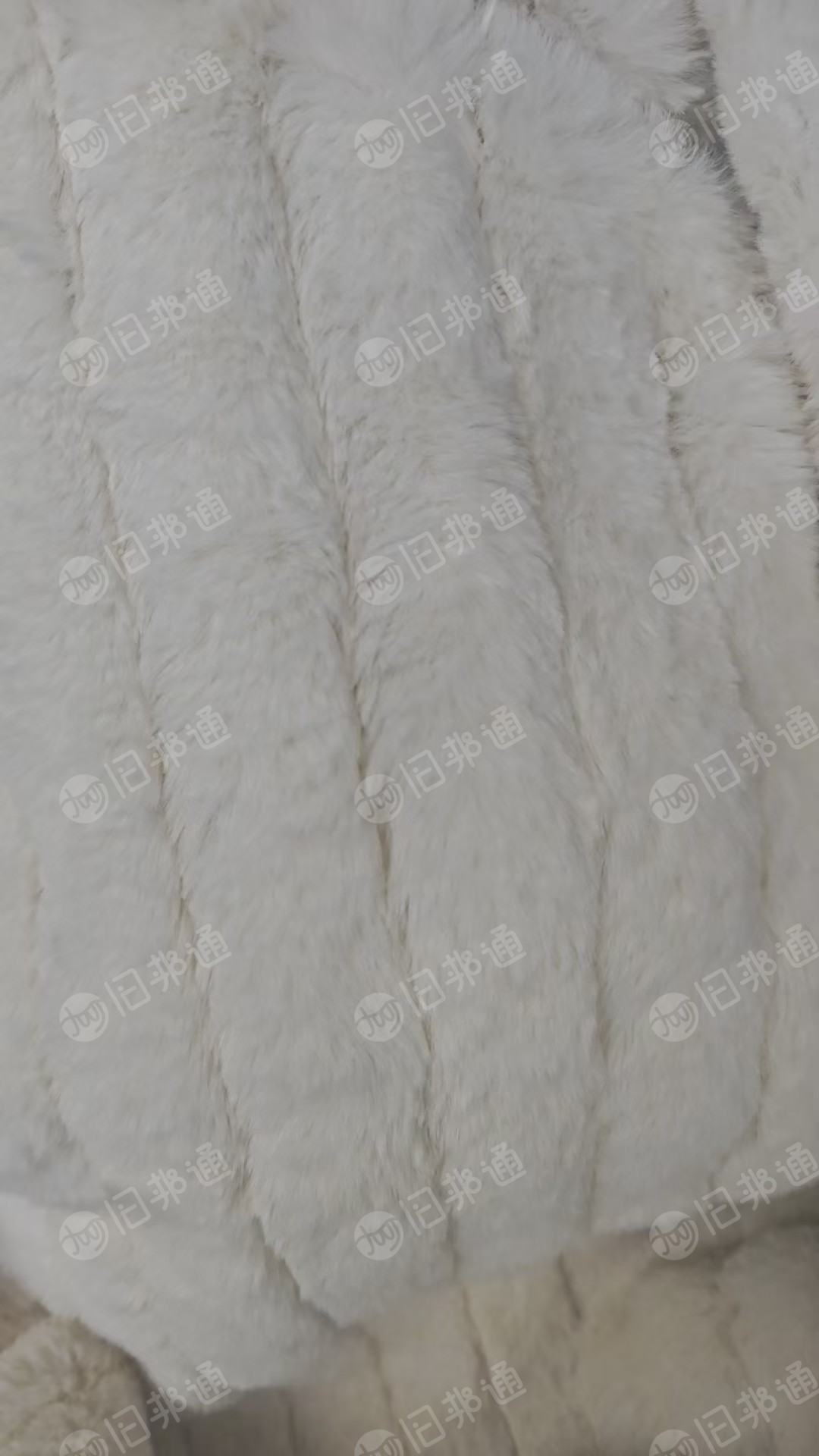 出售库存绒布，兔毛，抽条，现货有25吨，一个批号，现货有25吨，货在江苏苏州