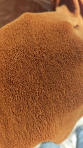 出售珊瑚绒库存布，单面珊瑚绒，门幅1.6，克重170，现货有6.8米一车，货在江苏苏州