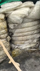 出售集装箱液袋，高压PE袋，水洗造粒，现货16吨