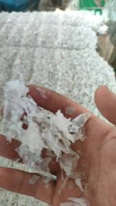 出售pet秧盘破碎料，