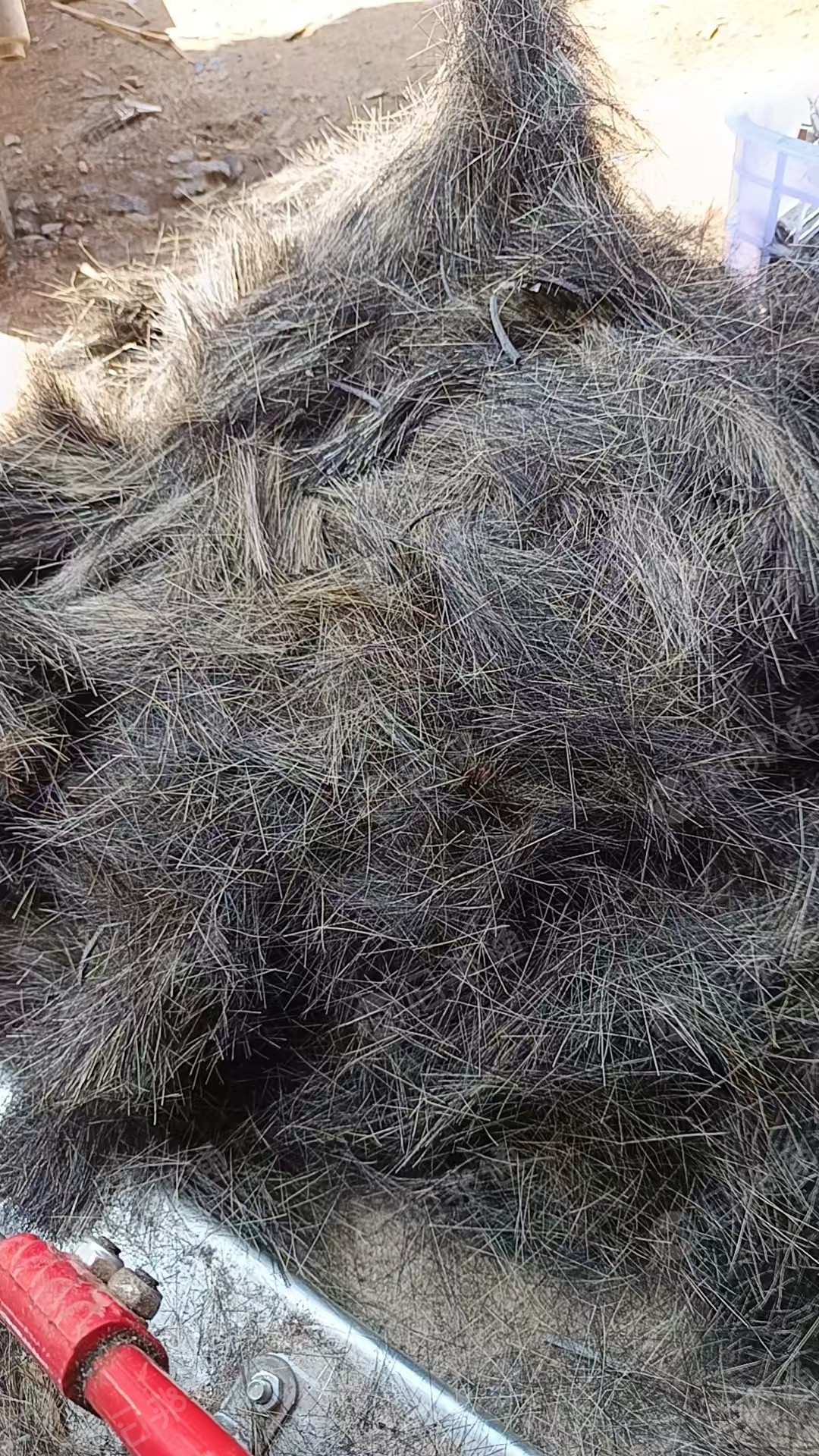 长期出售丙纶废丝，做刷子剩下的，现货30-50吨，在江苏连云港
