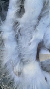 长期出售腈纶跟涤纶复合废布，涤纶复合布，月供三五十吨