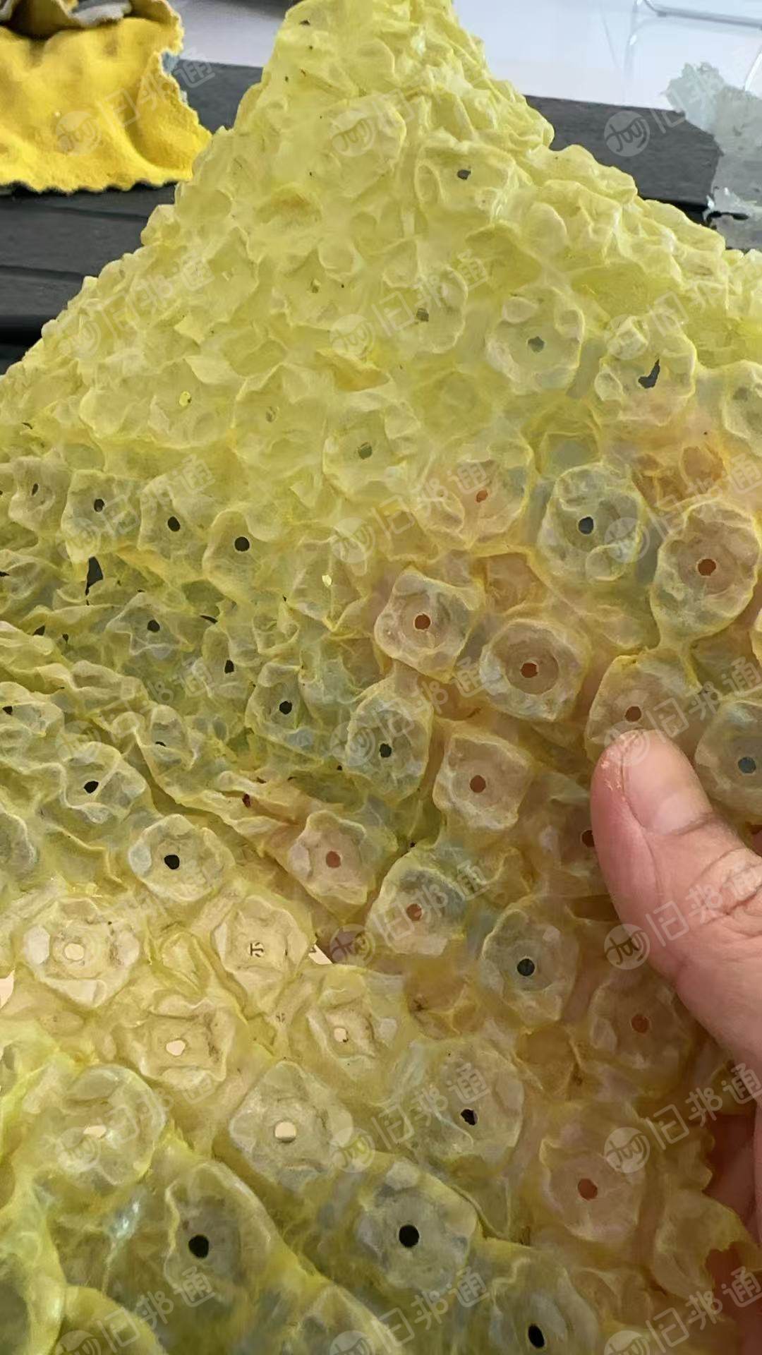 出售PVC秧盘毛料，月供10吨左右