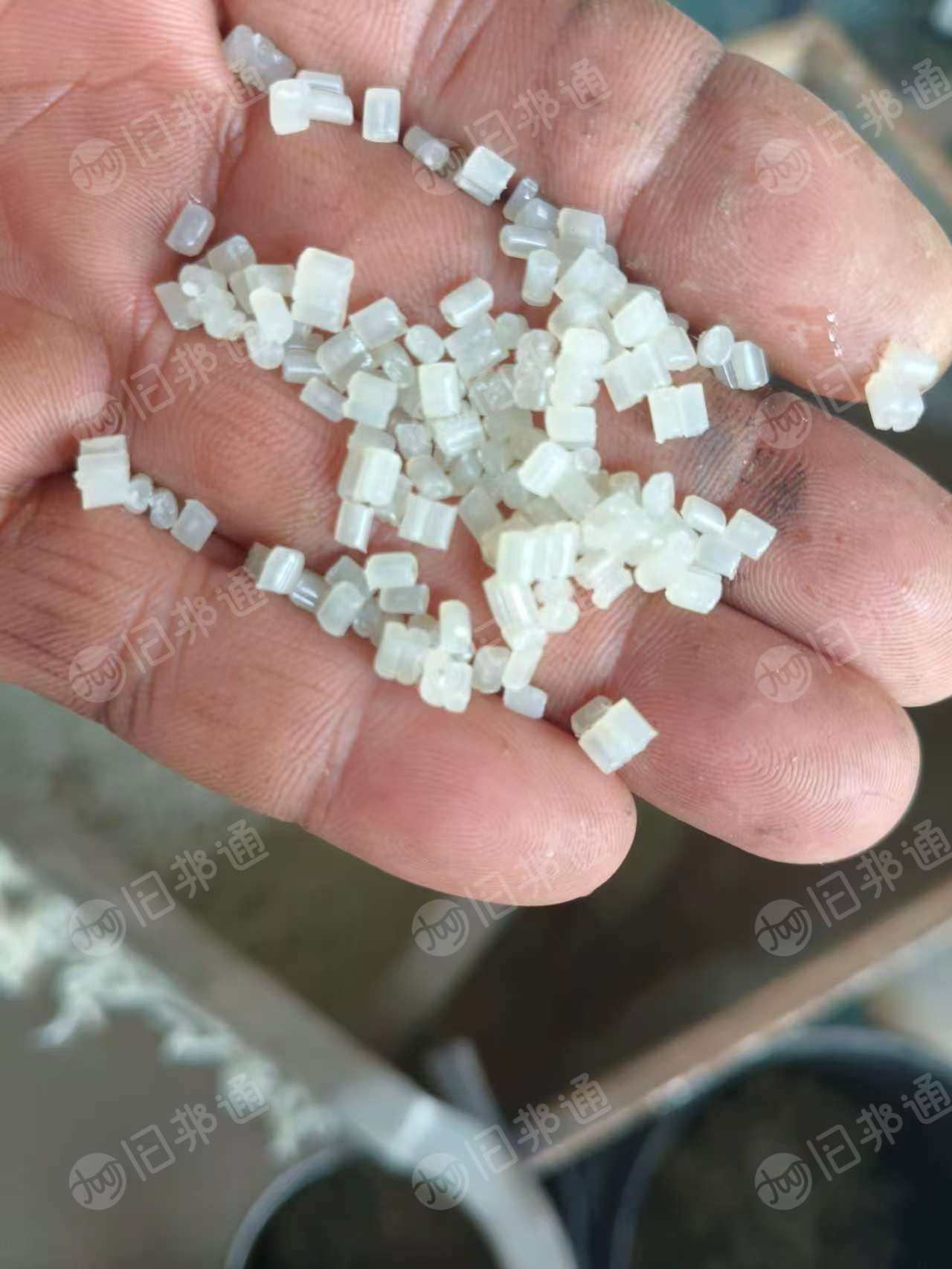 出售PP餐盒颗粒，过7层120目，长期有货