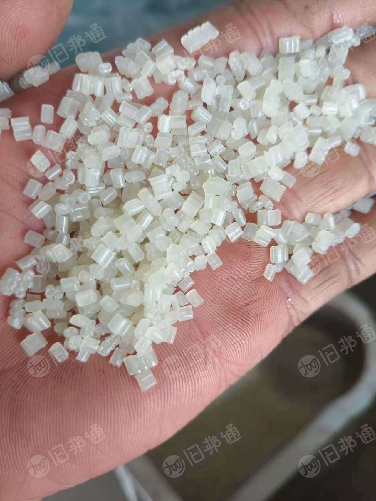 出售PP餐盒颗粒，过7层120目，长期有货