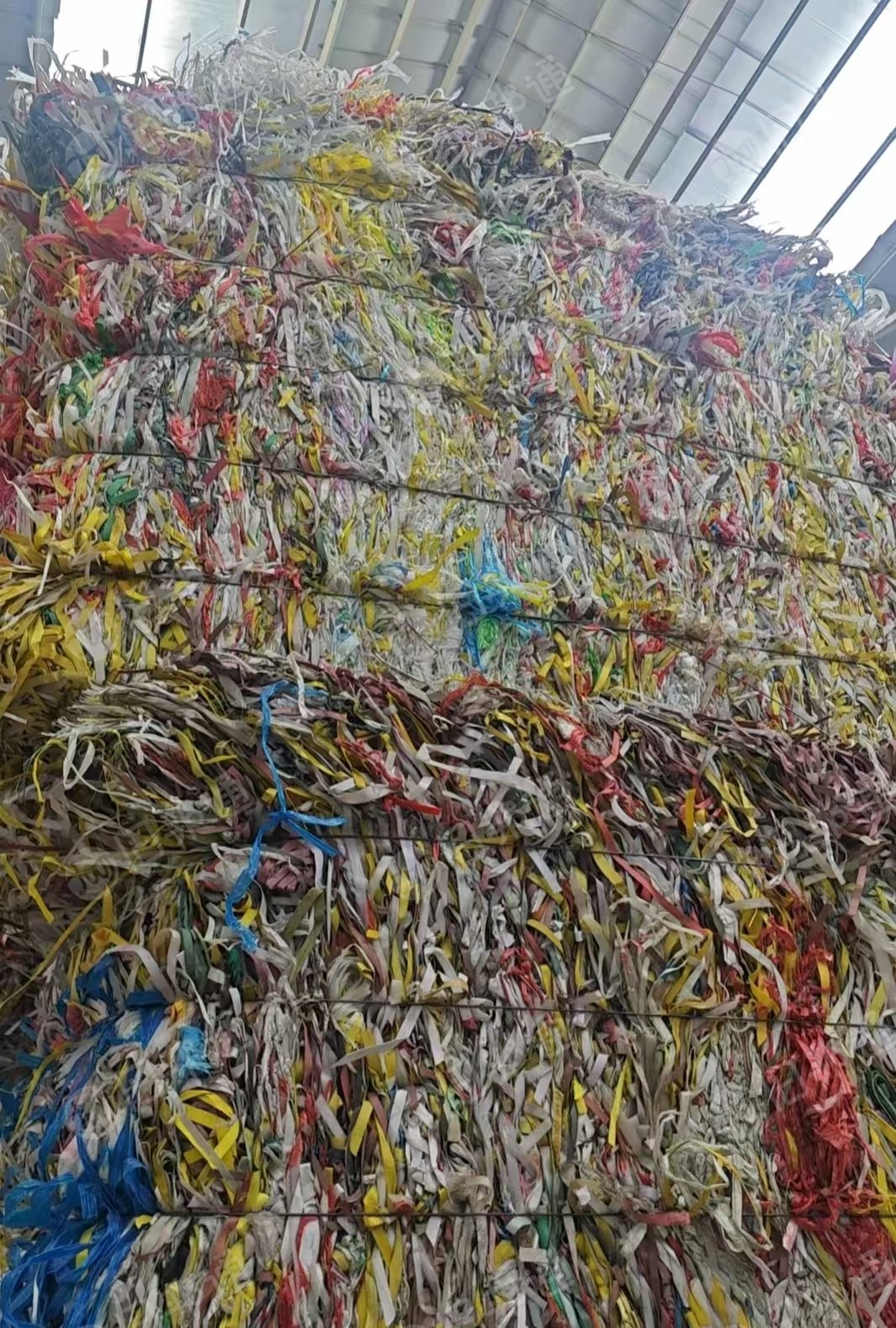 长期出售PP打包带毛料