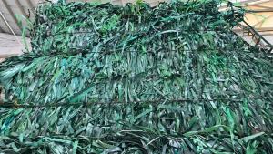 长期出售PET打包带毛料