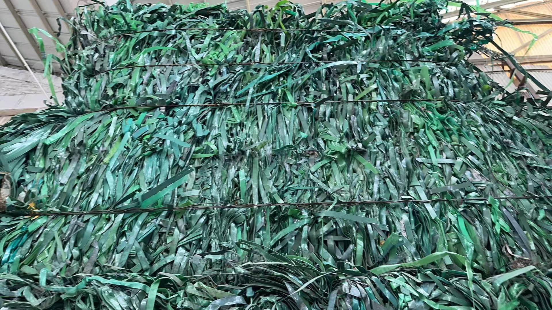 长期出售PET打包带毛料