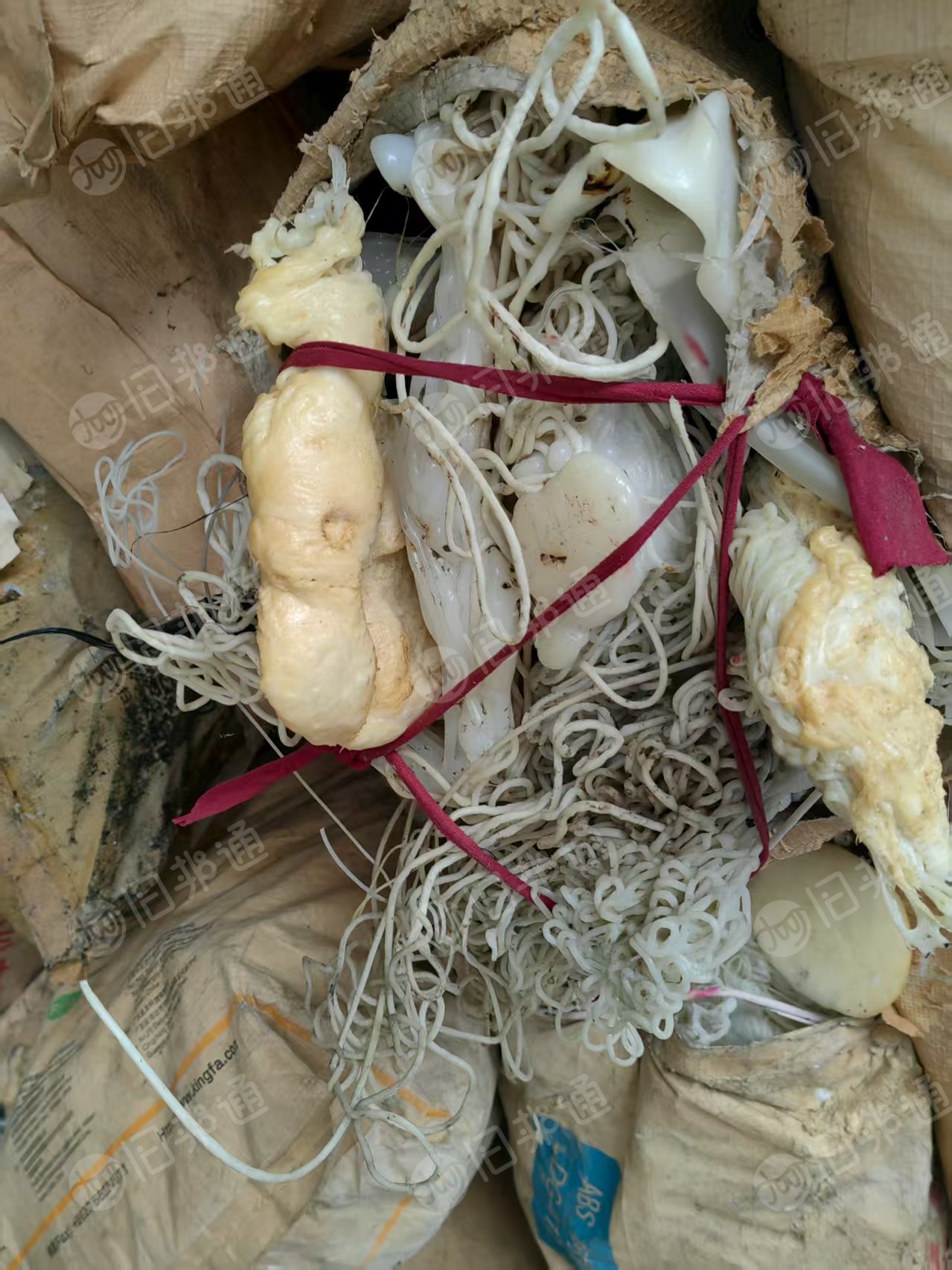 出售杂塑料机头料，PP.PE.ABS.PS.改性，为主清机料，料头，现货30吨