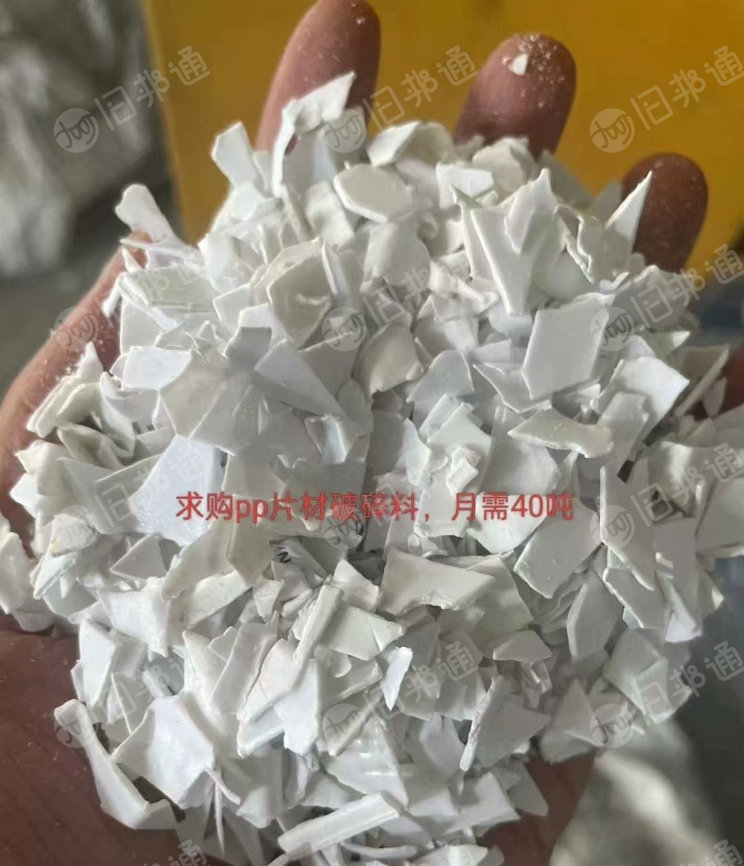 长期求购白色PP吸塑盒破碎料