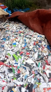 出售花丙破碎料，全漂，清洗甩干过风选，现货十几吨