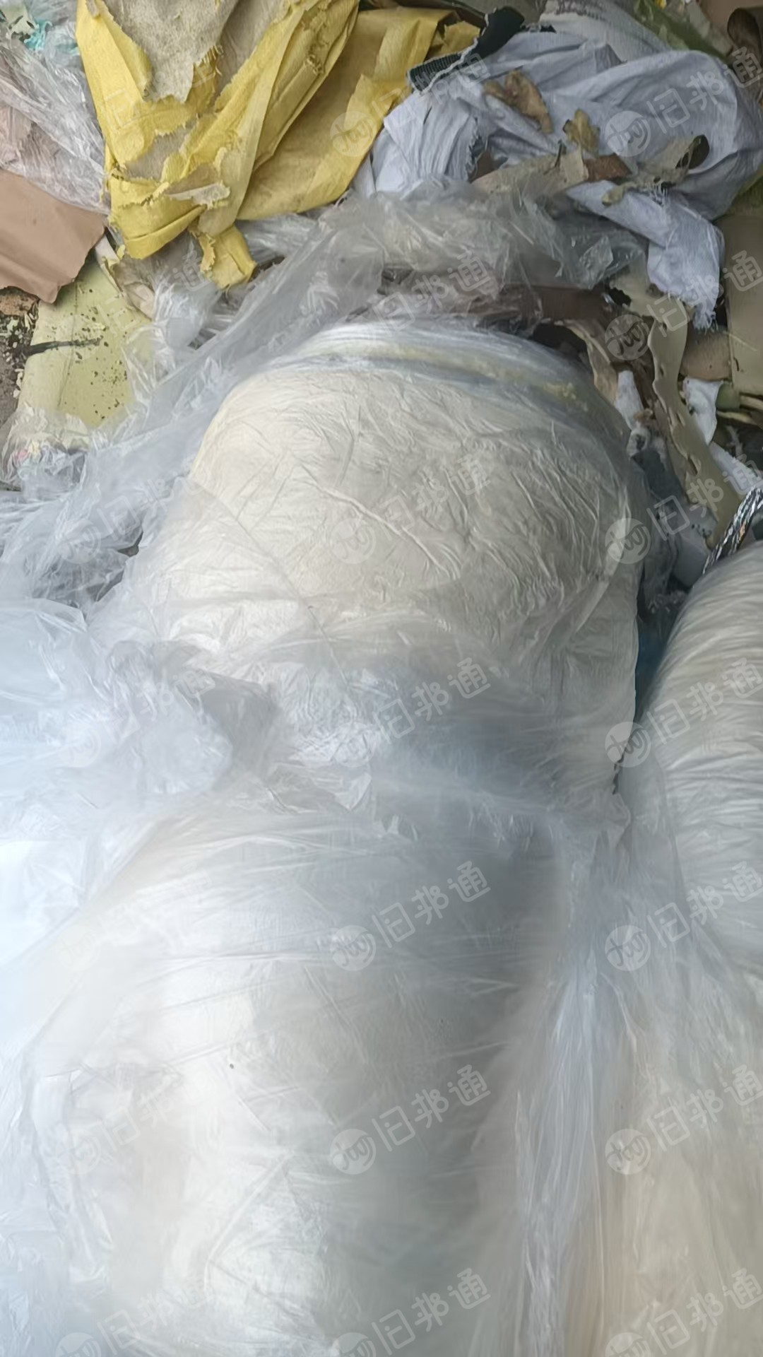 长期出售聚乙烯粘海绵