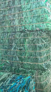 长期出售PET打包带毛料，聚酯打包带毛料