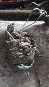 常年出售PE机头料